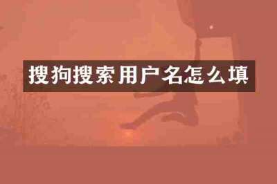 搜狗搜索用户名怎么填
