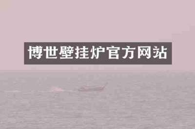 博世壁挂炉官方网站