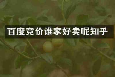 百度竞价谁家好卖呢知乎
