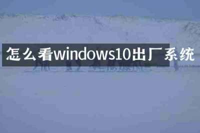 怎么看windows10出厂系统