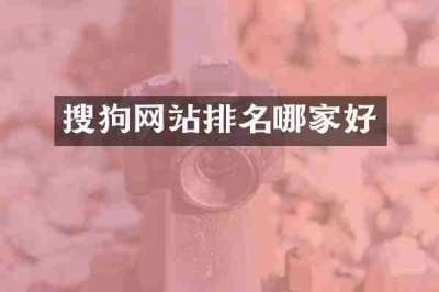 搜狗网站排名哪家好