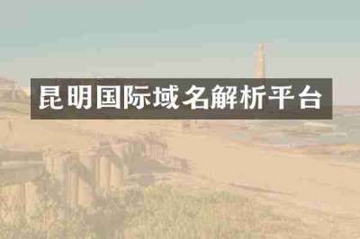 昆明国际域名解析平台