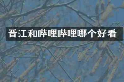 晋江和哔哩哔哩哪个好看