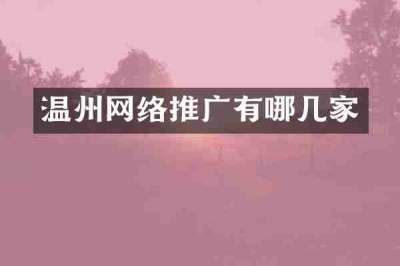 温州网络推广有哪几家