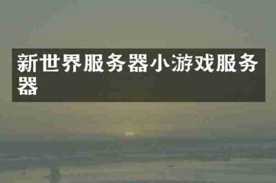 新世界服务器小游戏服务器