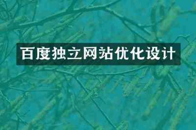 百度独立网站优化设计