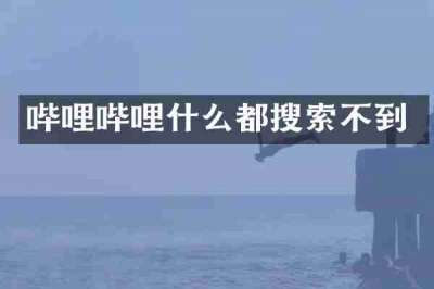 哔哩哔哩什么都搜索不到