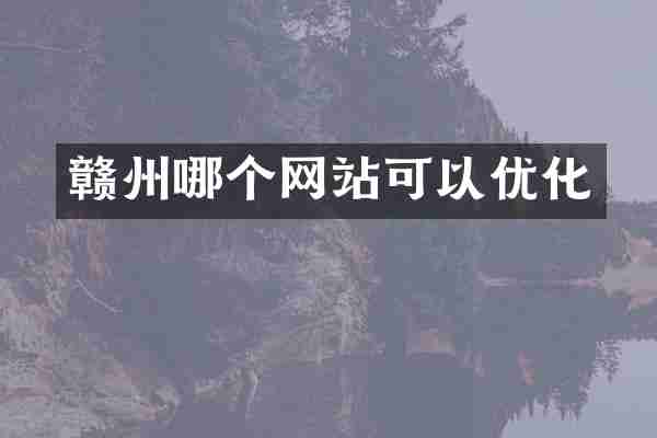 赣州哪个网站可以优化