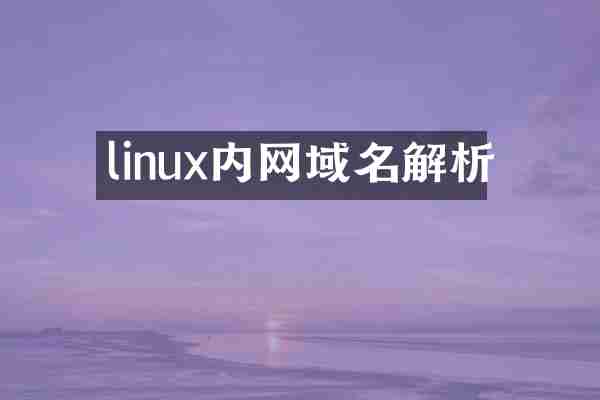 linux内网域名解析