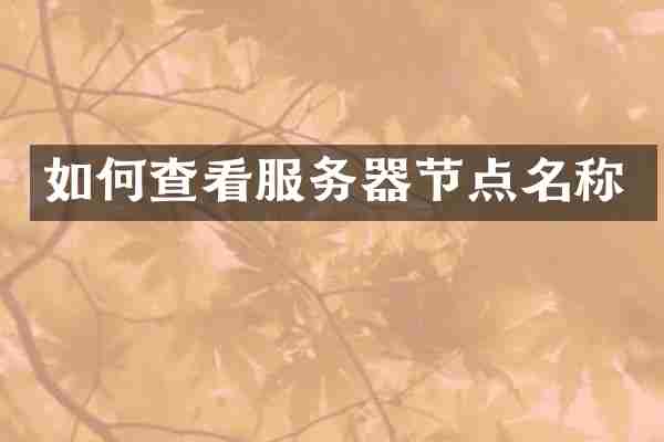 如何查看服务器节点名称