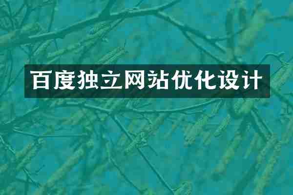 百度独立网站优化设计