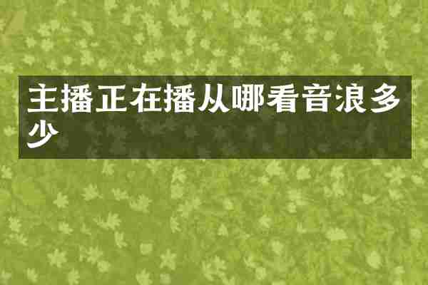 主播正在播从哪看音浪多少