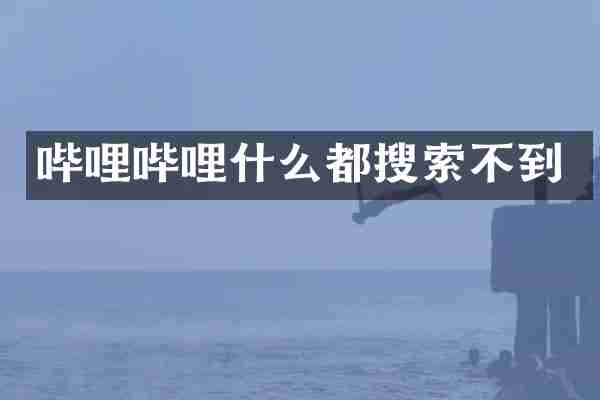哔哩哔哩什么都搜索不到