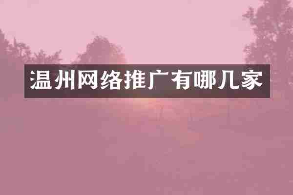 温州网络推广有哪几家
