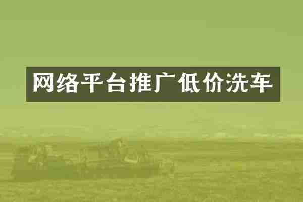 网络平台推广低价洗车