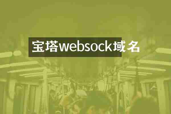 宝塔websock域名