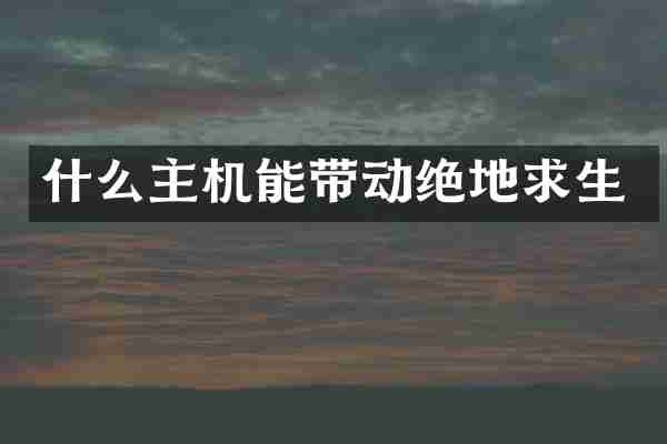 什么主机能带动绝地求生