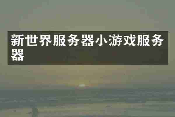 新世界服务器小游戏服务器