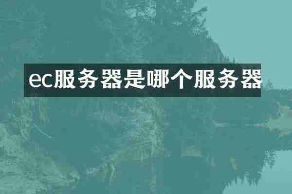 ec服务器是哪个服务器