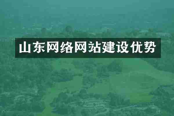 山东网络网站建设优势
