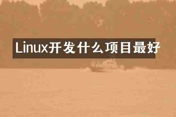 Linux开发什么项目最好