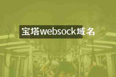 宝塔websock域名