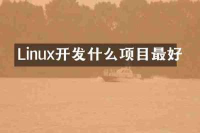 Linux开发什么项目最好