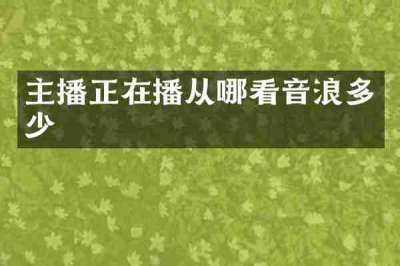 主播正在播从哪看音浪多少
