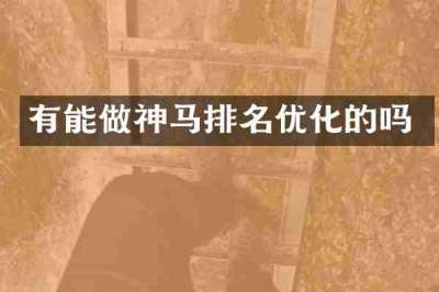有能做神马排名优化的吗