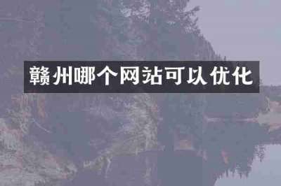 赣州哪个网站可以优化