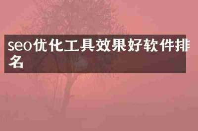 seo优化工具效果好软件排名