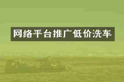 网络平台推广低价洗车