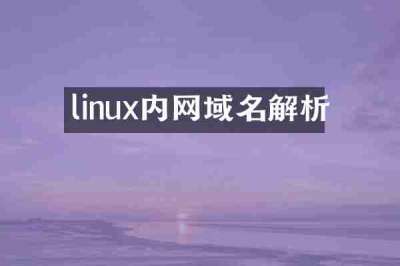 linux内网域名解析