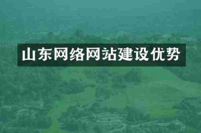 山东网络网站建设优势