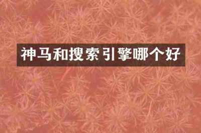 神马和搜索引擎哪个好