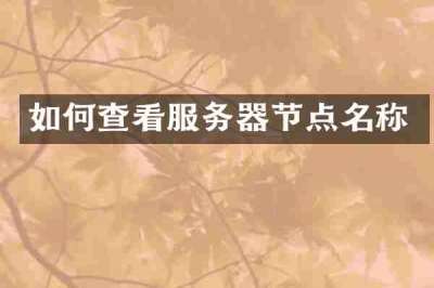 如何查看服务器节点名称