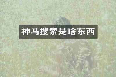 神马搜索是啥东西
