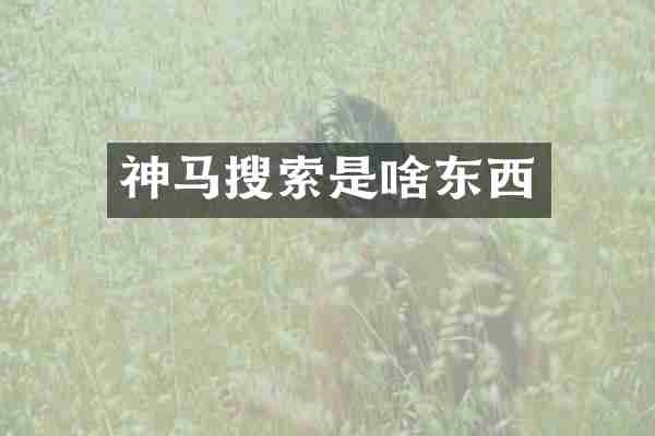 神马搜索是啥东西