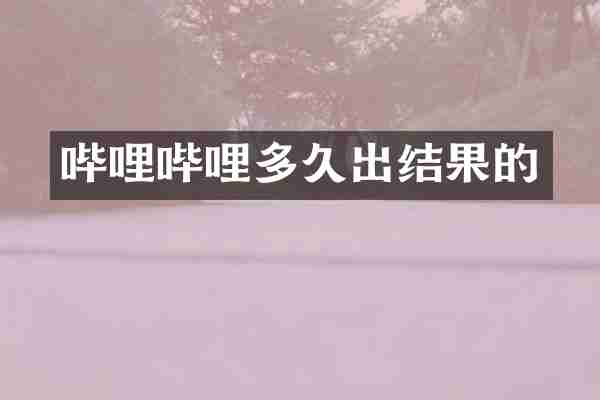哔哩哔哩多久出结果的