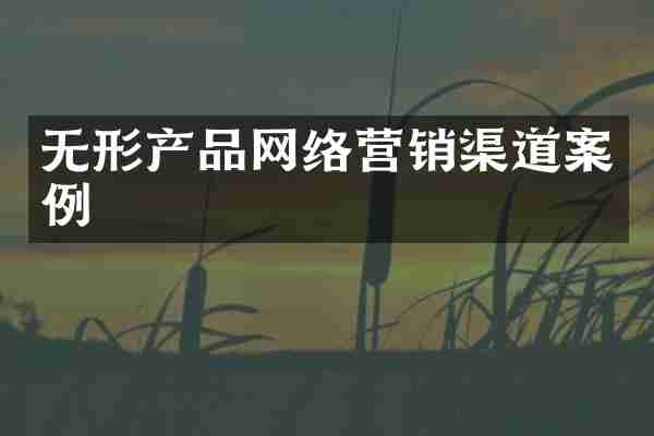 无形产品网络营销渠道案例
