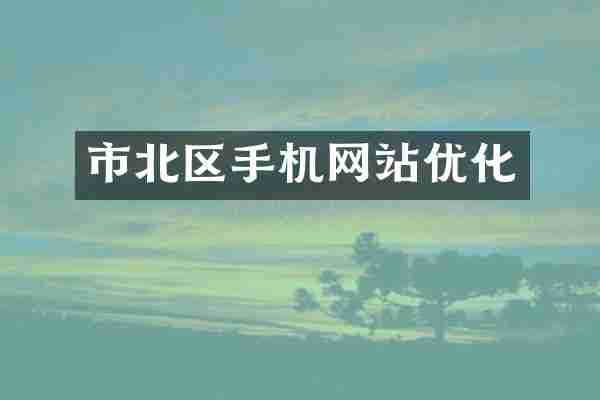市北区手机网站优化