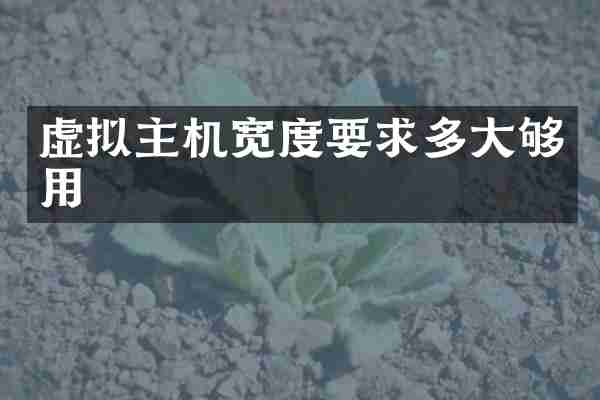 虚拟主机宽度要求多大够用