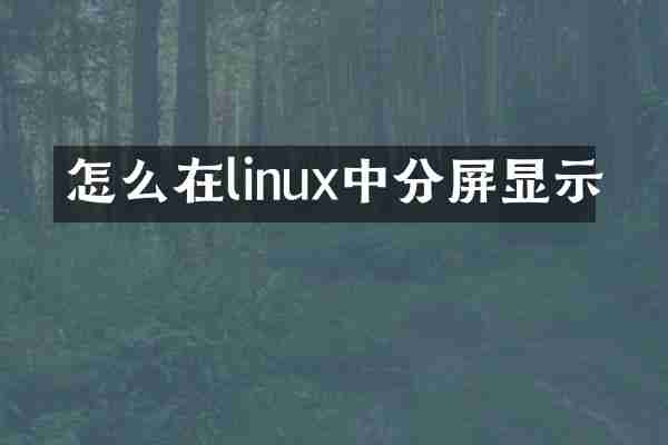 怎么在linux中分屏显示
