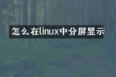 怎么在linux中分屏显示