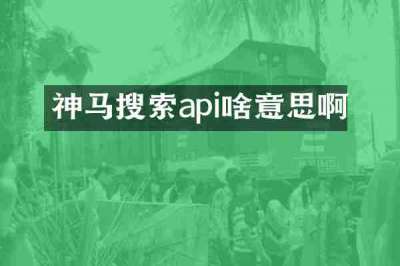 神马搜索api啥意思啊