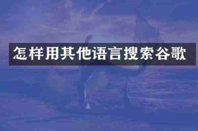 怎样用其他语言搜索谷歌
