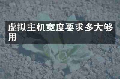 虚拟主机宽度要求多大够用