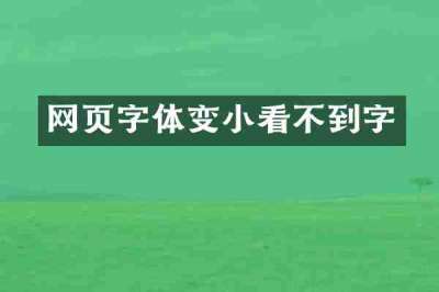 网页字体变小看不到字