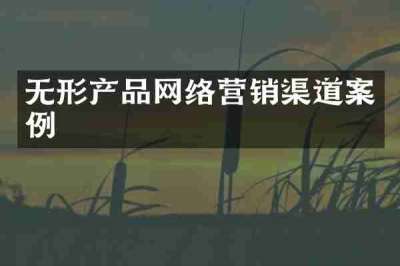 无形产品网络营销渠道案例