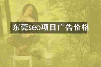 东莞seo项目广告价格